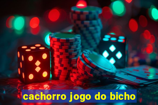 cachorro jogo do bicho